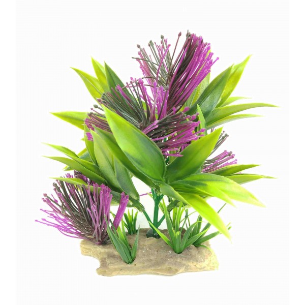 ΔΙΑΚΟΣΜΗΤΙΚΟ ΦΥΤΟ ΕΝΥΔΡΕΙΟΥ